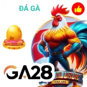 88t Game 06